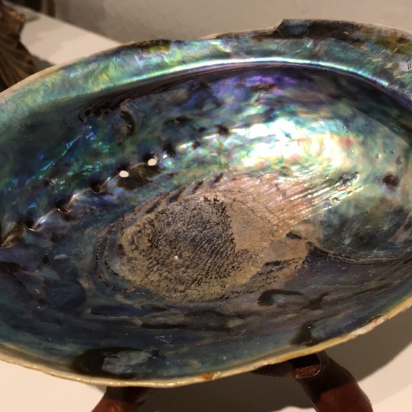 Beautiful Blue Shell Beautiful Stand Coastal Decor FINAL SALE - Picture 5 of 9